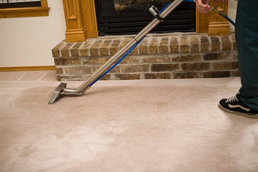 Carpet Cleaning in Beaverton by Praise Cleaning Services