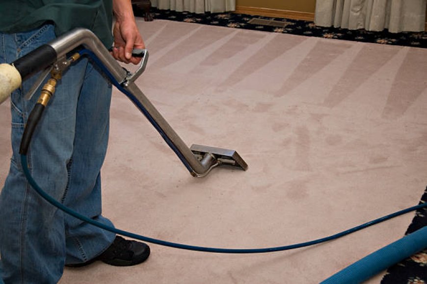 Carpet Cleaning Services Beaverton by Praise Cleaning Services