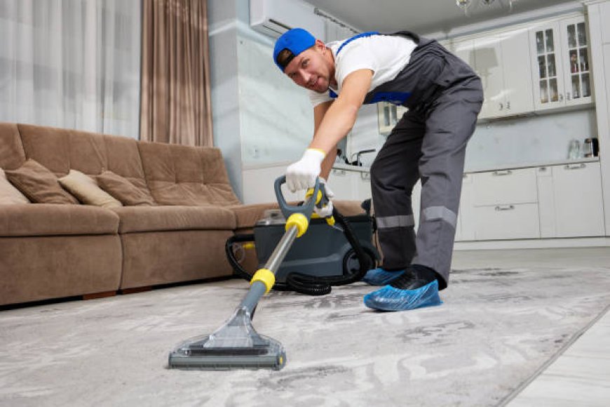 Carpet Cleaner Services by Praise Cleaning Services