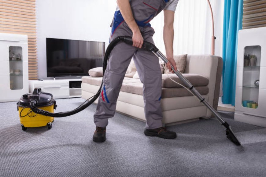 The Ultimate Carpet Cleaner Services Near Me in Beaverton and Beyond