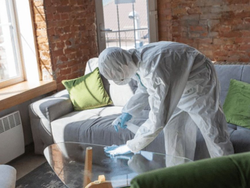 9 Myths About Clearwater Mold Remediation You Should Stop Believing