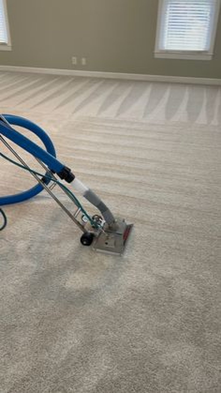 Spotless Carpets and Rugs: 5 Leading Cleaning Services in Brooklyn NYC