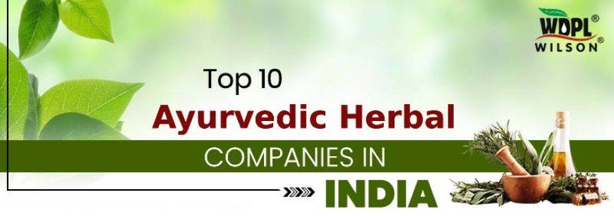 untitledTop Ayurvedic Pharmaceutical Companies In India: A Comprehensive Guide