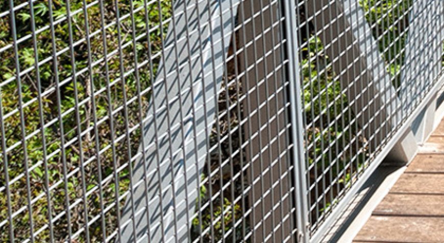 Why Choose Welded Wire Mesh for Your Garden Fencing