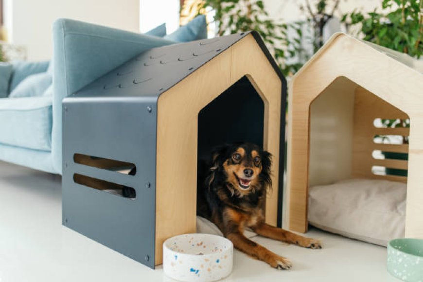 Give Your Dog the Comfort It Deserves with the Snoopy Dog House