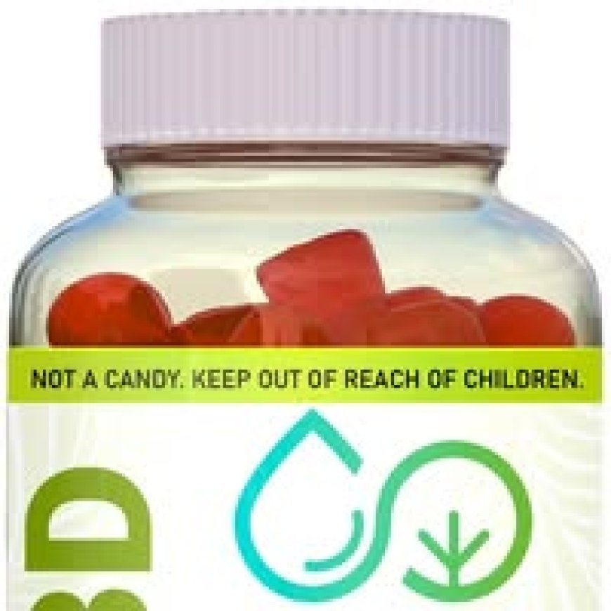 True North CBD Gummies :- Full Ingredients List, Advantages & Legit Buying Options