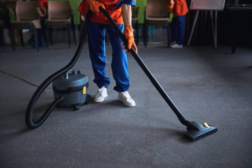 The Ultimate Guide to Carpet Cleaner Services Near Me in Beaverton