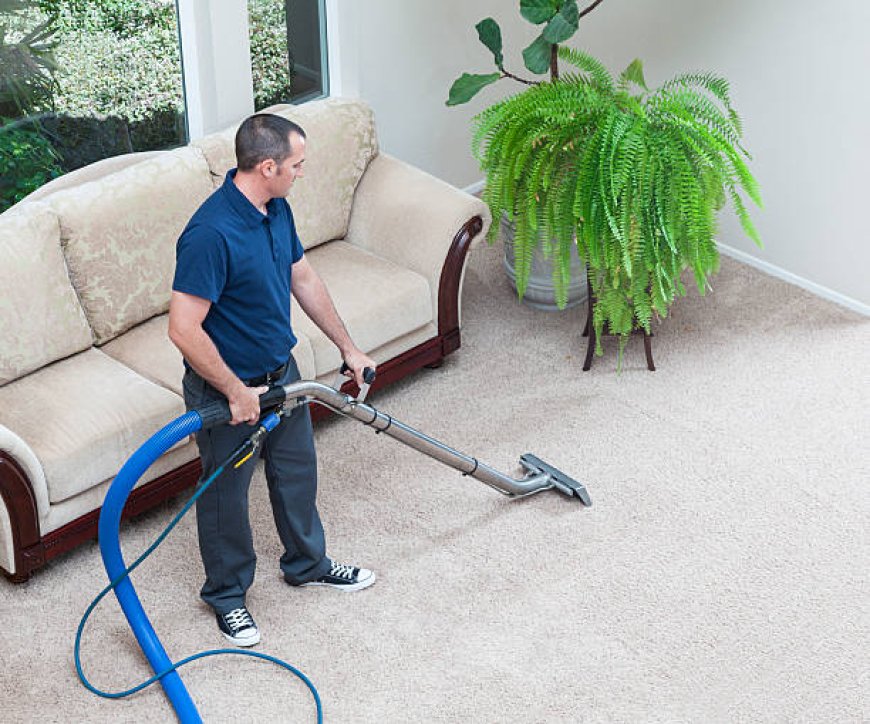 American Pro Carpet Cleaning Service in Beaverton