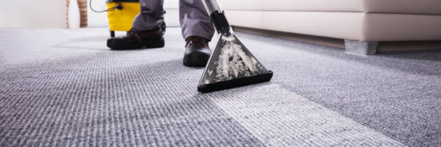 Best Carpet Cleaning Services in Beaverton Oregon by Praise Cleaning Services