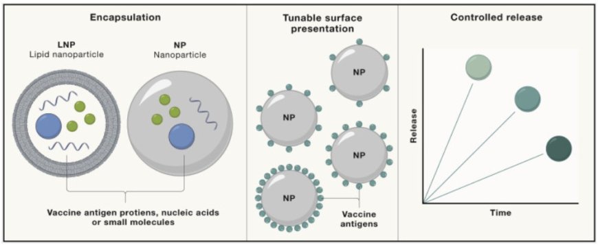 Vaccine Development for Infectious Diseases