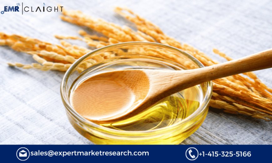 Rice Bran Oil Market: Trends, Insights, and Growth Forecast 2024-2034