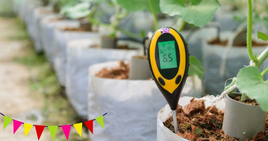 How Much Does Soil pH Testing Cost? A Guide to Affordable Options