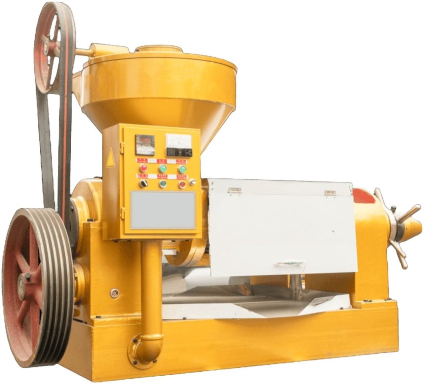 Top Cold Press Oil Machines in India for Large-Scale Businesses