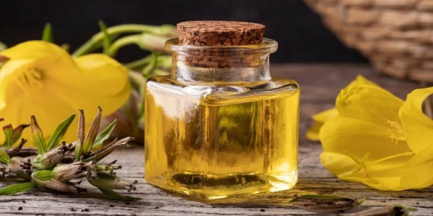 The Ponders of Evening Primrose Oil Organic: A Common Remedy for Skin and Health