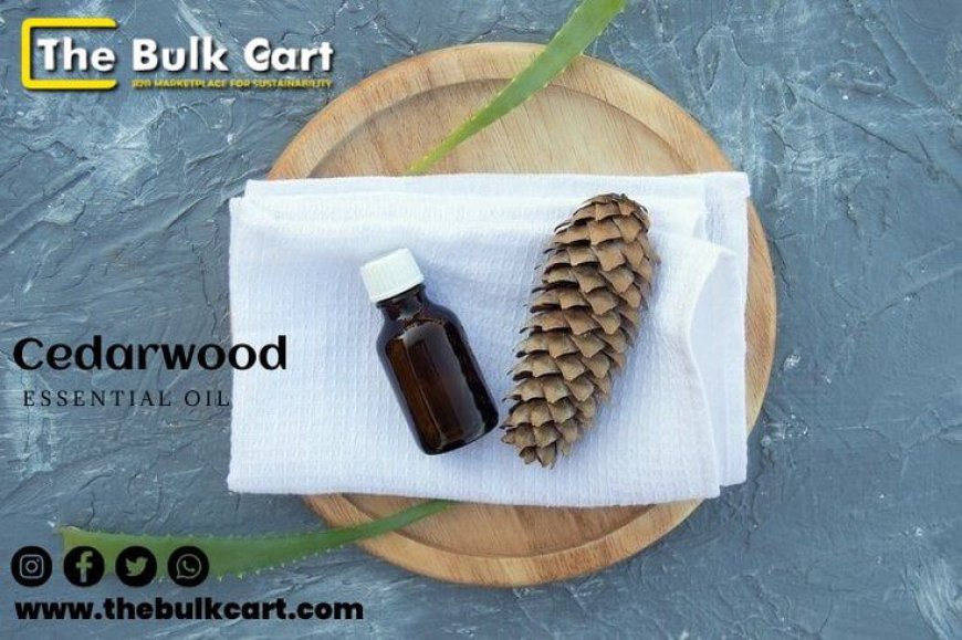 Buy Cedarwood Essential Oil in Bulk - Premium Quality