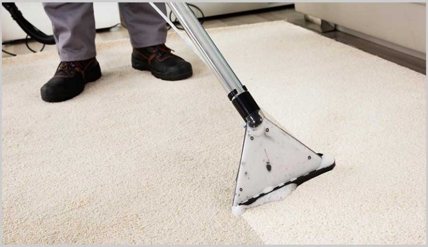 The Role of Carpet Cleaning in a Comfortable Home Environment