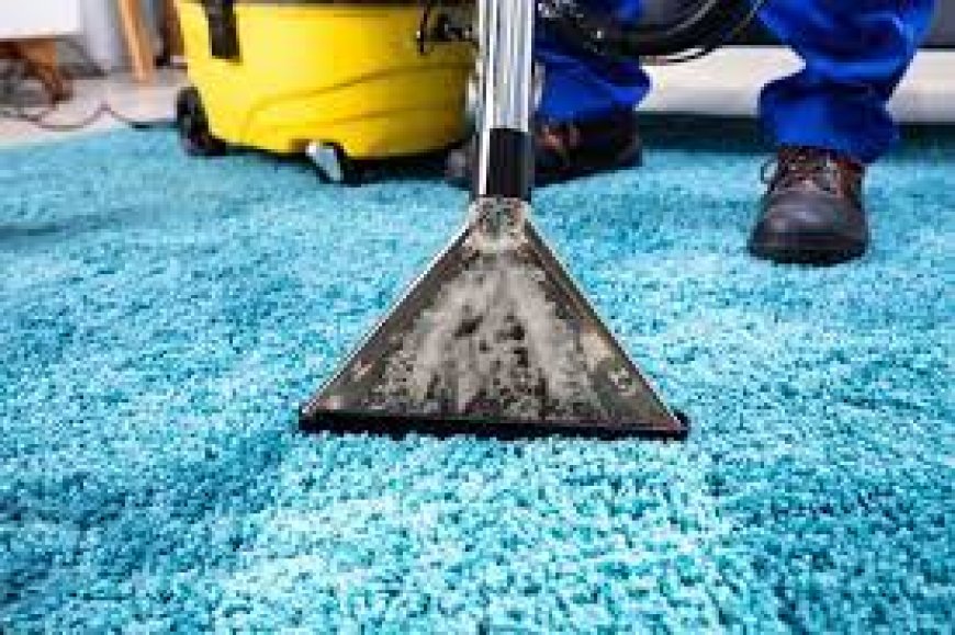 How Carpet Cleaning Enhances Your Home’s Comfort and Health