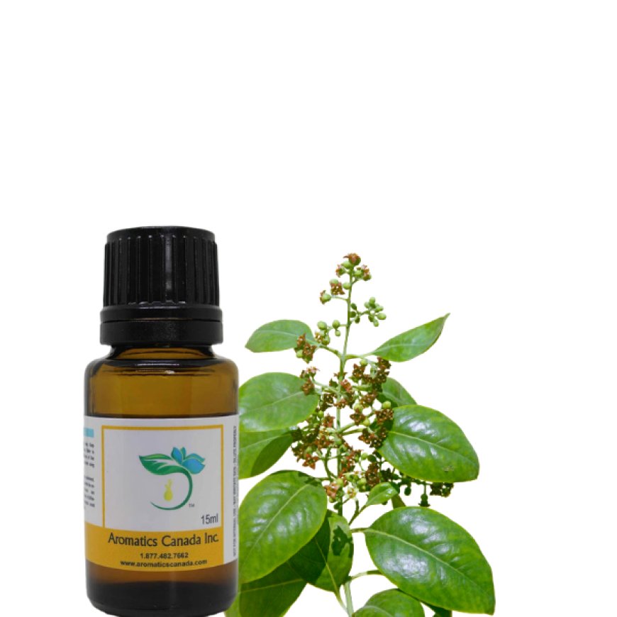 Discover the Benefits of Sandalwood Organic Essential Oil