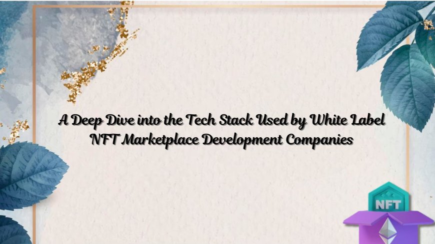 A Deep Dive into the Tech Stack Used by White Label NFT Marketplace Development Companies