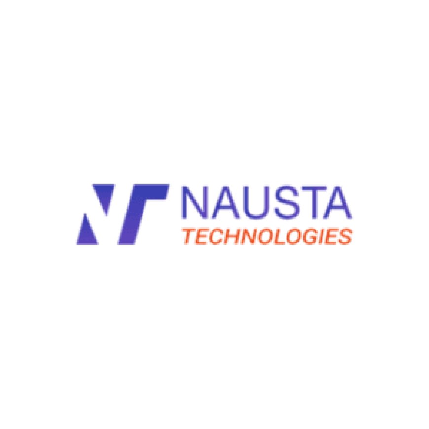 Professional Business Solutions Services |  Nausta Technologies