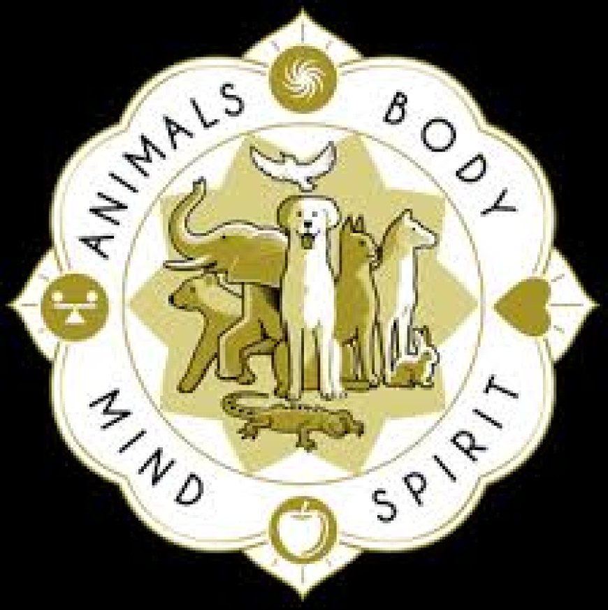 Chakra Healing For Your Dog: A Natural Way to Promote Well-Being