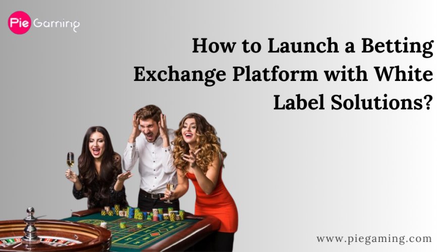 How to Launch a Betting Exchange Platform with White Label Solutions?