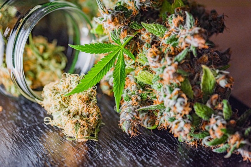 The Secret to Finding Premium CBD Flower for Sale