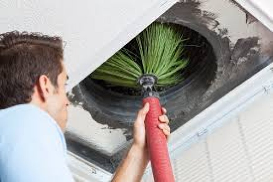 The Importance of Professional Dryer Vent and Air Duct Cleaning