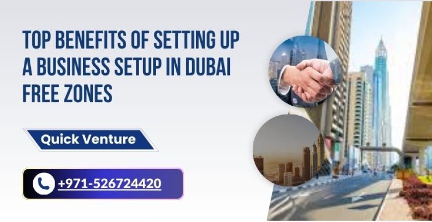 Top Benefits of Setting Up a Business Setup in Dubai Free Zones