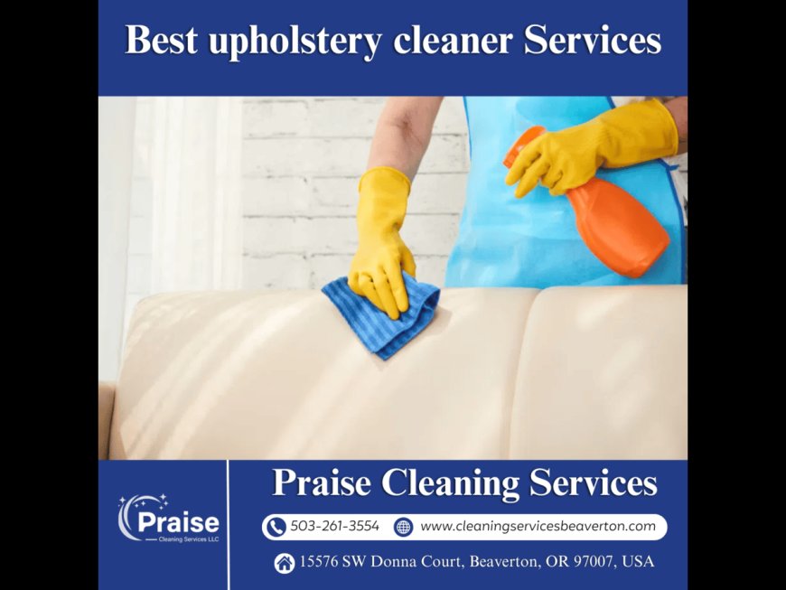 Best Upholstery Cleaner Services for a Fresh and Vibrant Home