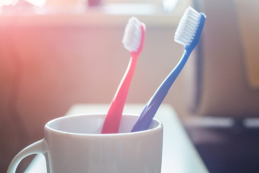 If You Should Replace Your Toothbrush, What Is the Right Time?