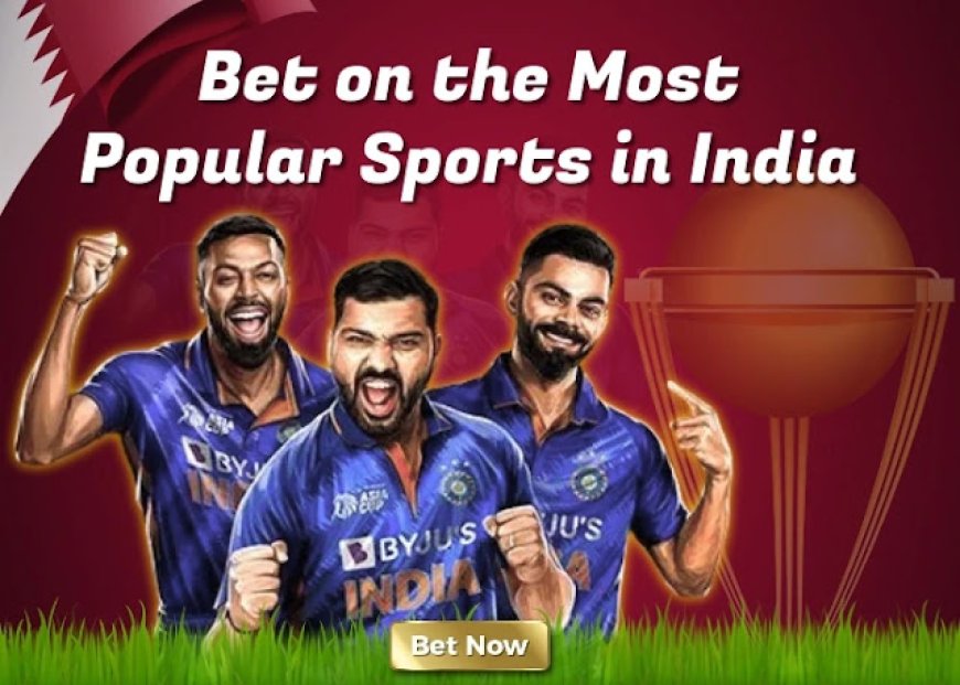 Your Winning Streak Starts Here: Cricket ID Adda for Online Cricket ID