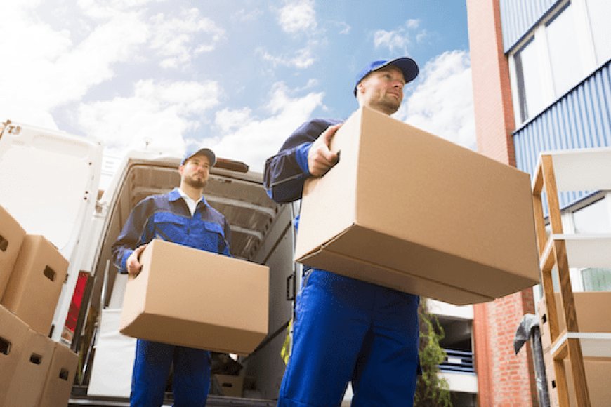 Why Every E-commerce Business Should Consider a Courier Aggregator