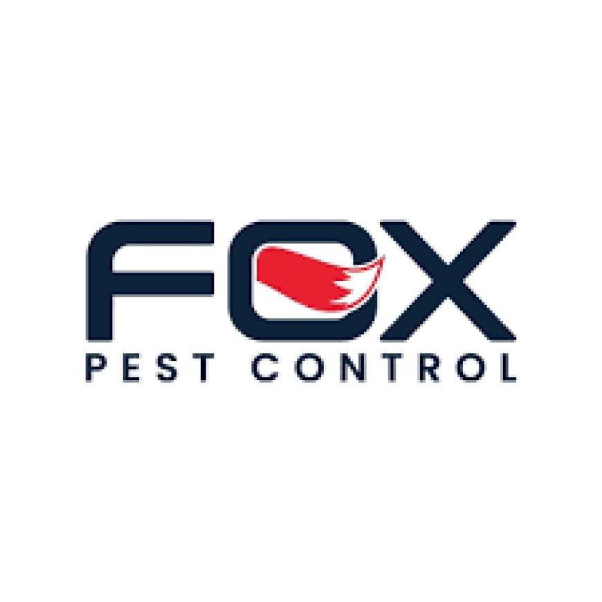 Effective Pest Control Strategies for Urban Living