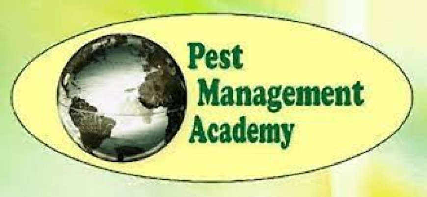 Understanding the Need for Effective Pest Management