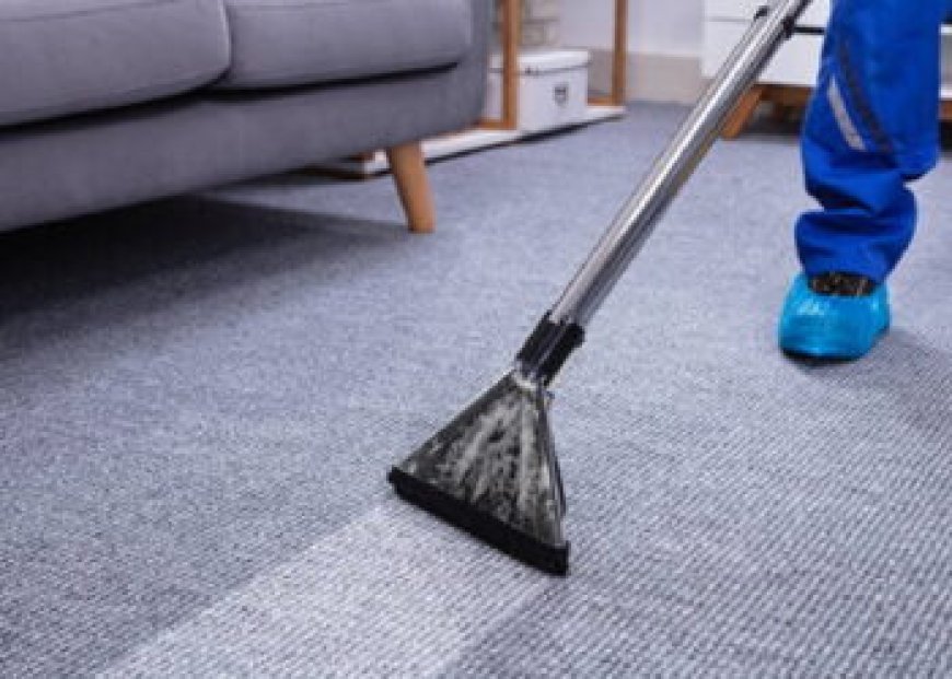 Make Your Home Shine with Professional Carpet Cleaning Services