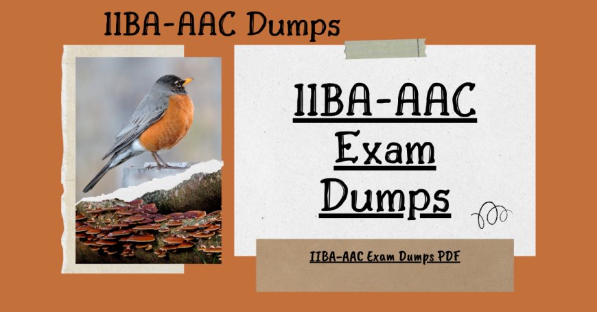 IIBA-AAC Dumps The Smarter Way to Study