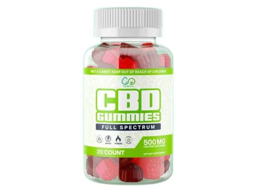 Organna CBD Gummies Review: What You Must Know Before Buying!