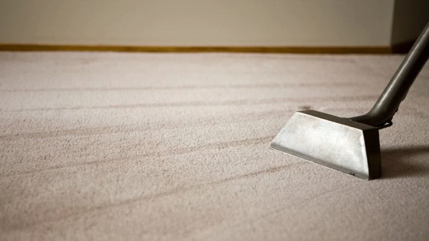 How Regular Carpet Cleaning Promotes Healthier Living