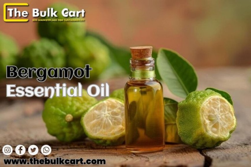 Buy Bergamot Essential Oil in Bulk - Pure & Fresh