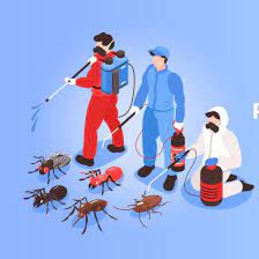 Eco-Friendly Pest Control Methods: Sustainable Solutions for a Pest-Free Home