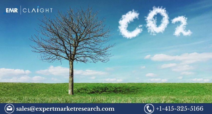 United Kingdom Carbon Dioxide Market Size, Share & Growth 2025-2034