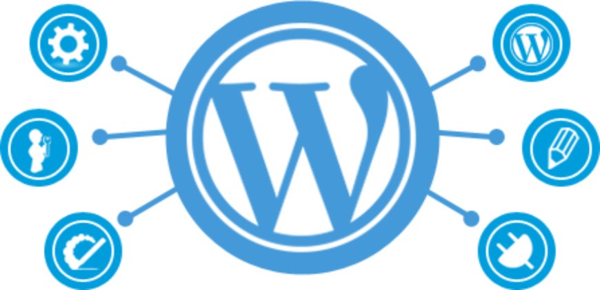 Maximize Website Performance with Regular WordPress Maintenance