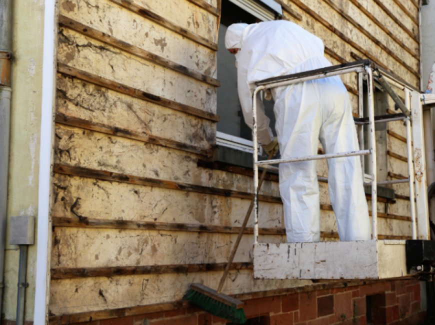 What Safety Precautions Should I Take During Black Mold Removal?