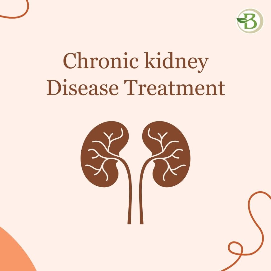 Bharat Homeopathy: A Natural and Holistic Approach to Controlling Chronic Kidney Disease