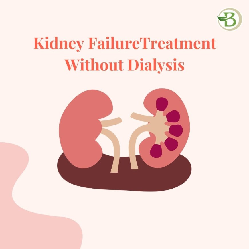 A Safe and Natural Way to Treat Chronic Kidney Disease with Bharat Homeopathy