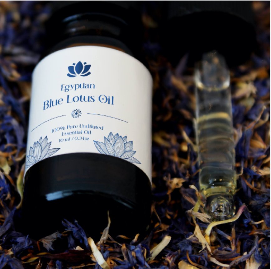 How to use Blue Lotus Oil