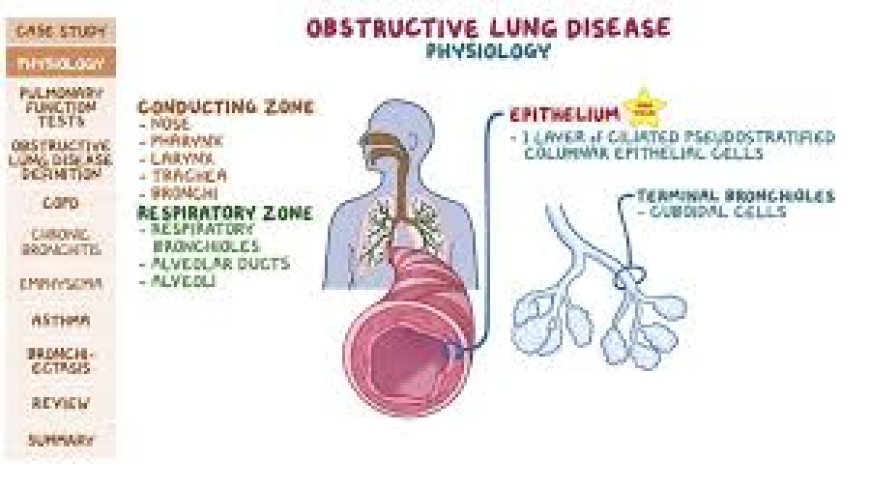 What Are the Most Common Lung Diseases, and How Can You Prevent and Manage Them Effectively?