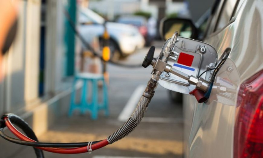 Africa CNG and LPG Vehicle Market Size, Share, and Growth Forecast (2025-2034)