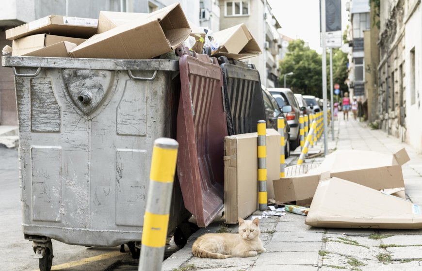 The Ultimate Guide to Efficient Junk Removal in Portland: Streamline Your Space Today